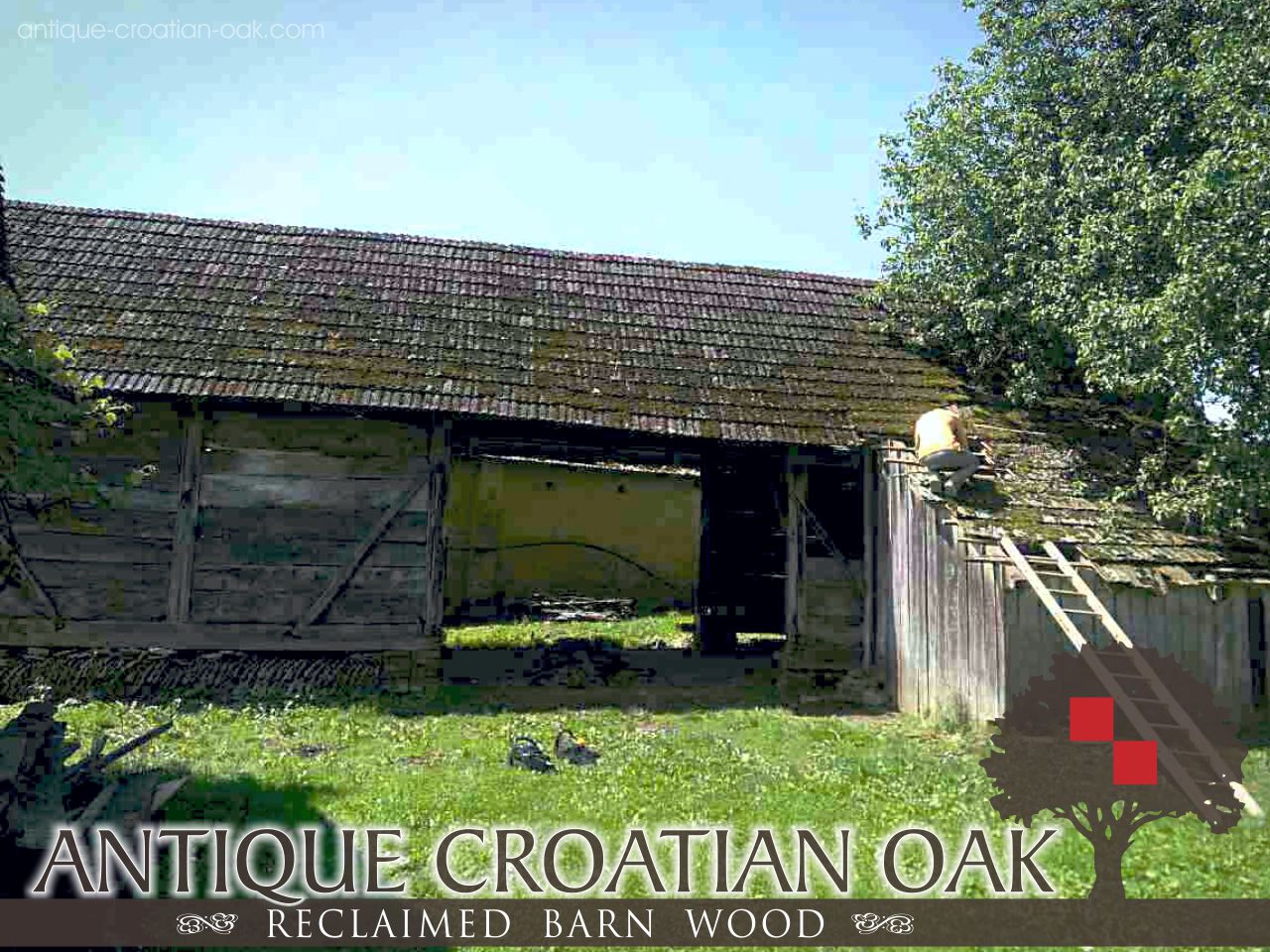 Reclaimed barn wood - Oak antique